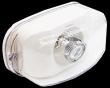 Westgate MFG C1 RHN4X-2W - NEMA 4X RATED LED REMOTE HEAD, 3.3W PER HEAD, 6V/12V, WHITE, DOUBLE