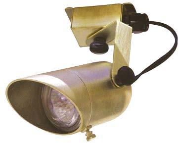 Brass Outdoor Directional Light