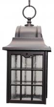 Melissa Lighting 631 - Avanti 600 Series Hanging Model 631 Small Outdoor Wall Lantern