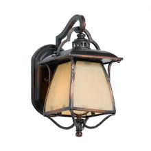 Quoizel CZ8407BD - One Light Burnished Copper Wall Lantern