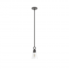 Hunter 19437 - Hunter Klein Noble Bronze with Clear Glass 1 Light Pendant Ceiling Light Fixture