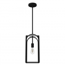 Hunter 19738 - Hunter Dukestown Natural Black Iron and Silver Leaf 1 Light Mini Pendant Ceiling Light Fixture