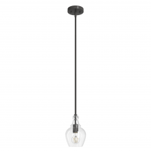 Hunter 19568 - Hunter Maple Park Noble Bronze with Clear Glass 1 Light Pendant Ceiling Light Fixture