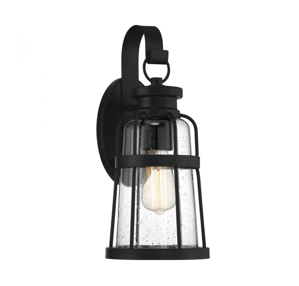 Quinton 1-Light Medium Outdoor Wall Lantern in Matte Black